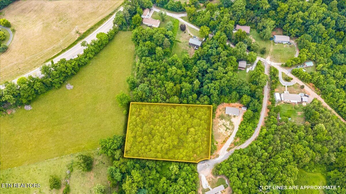 Ashley Maynardville TN 37807