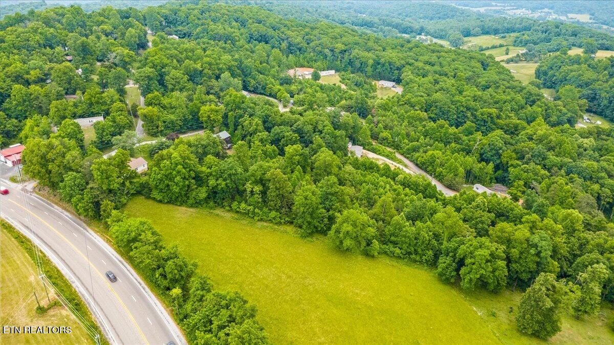 Ashley Maynardville TN 37807