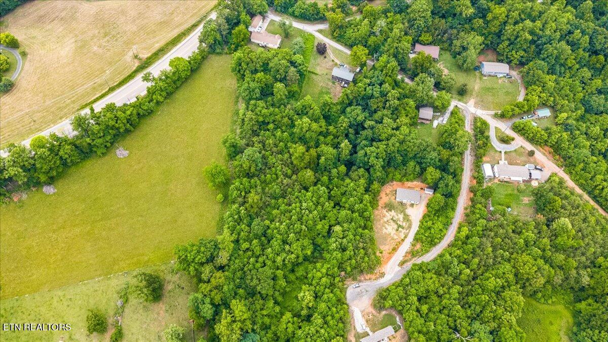 Ashley Maynardville TN 37807