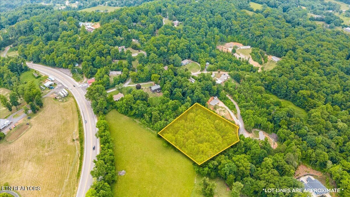 Ashley Maynardville TN 37807