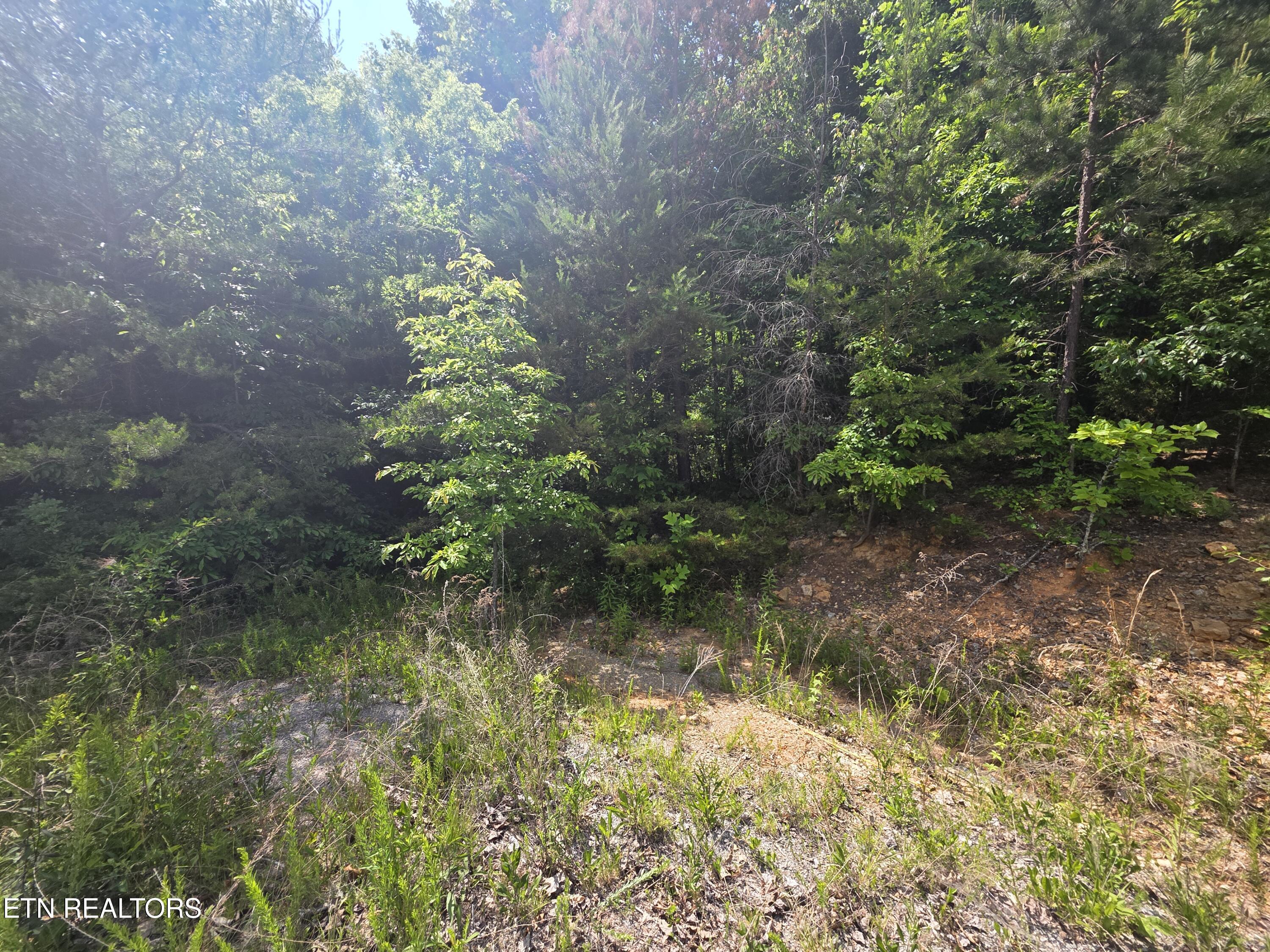 Ashley Maynardville TN 37807