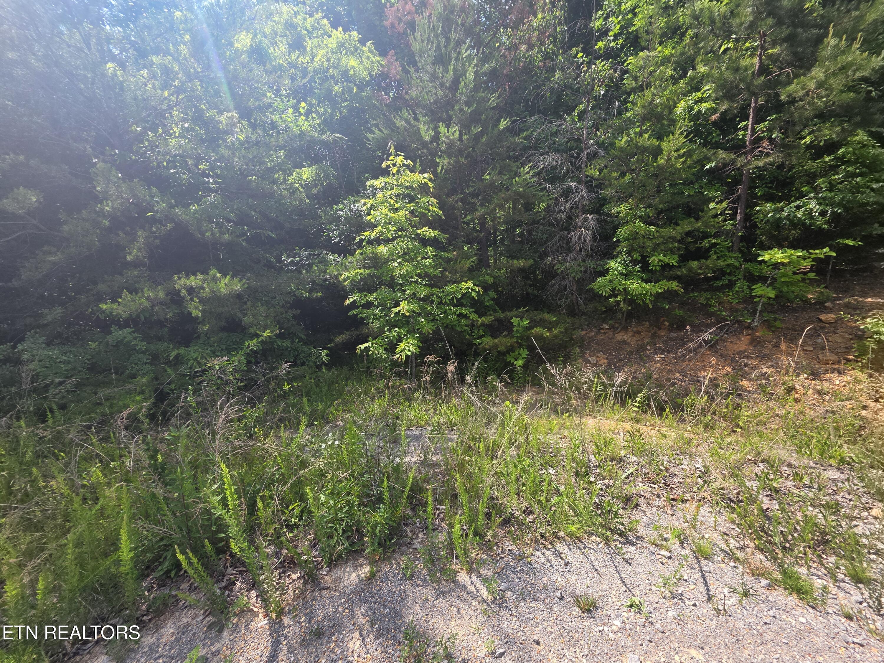 Ashley Maynardville TN 37807