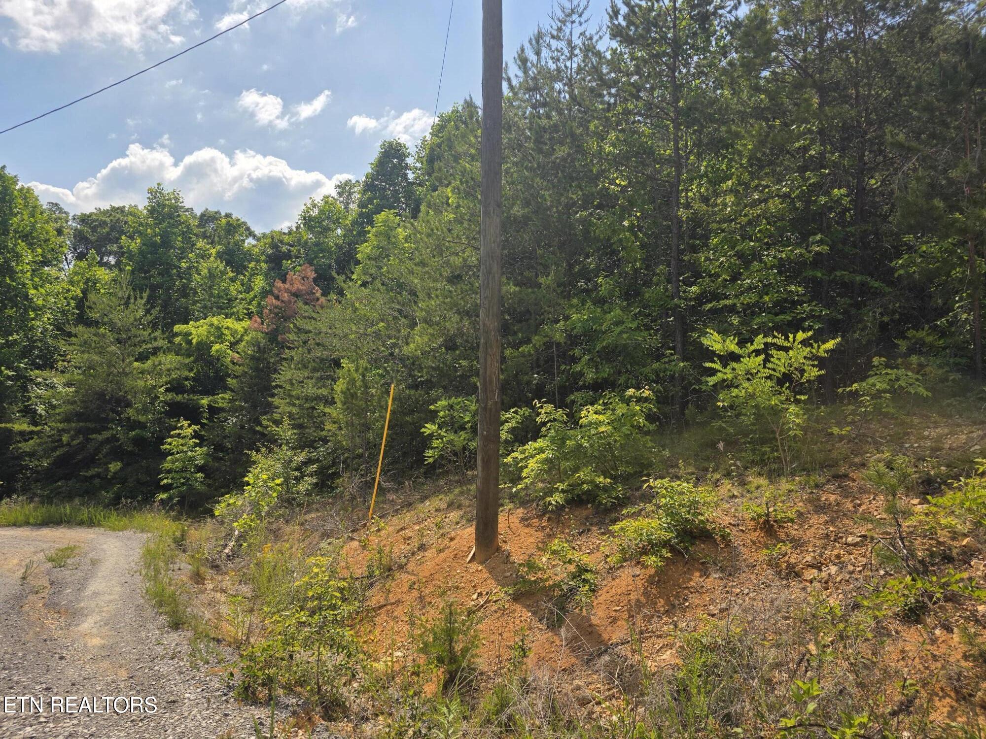 Ashley Maynardville TN 37807