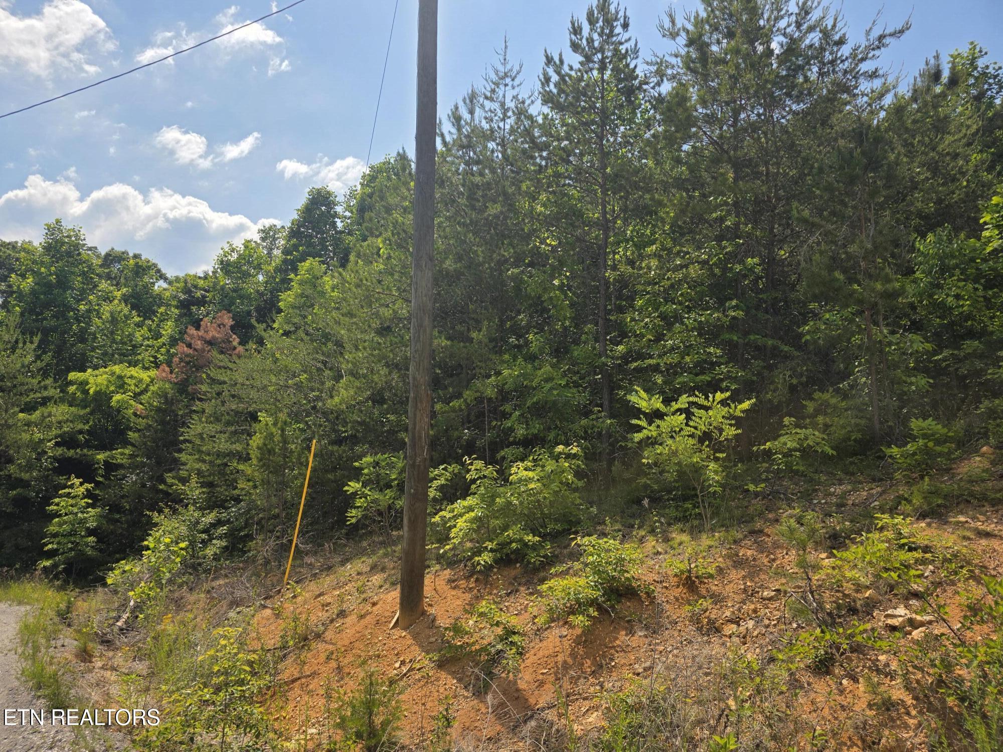 Ashley Maynardville TN 37807