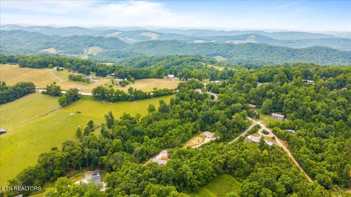 Ashley Maynardville TN 37807