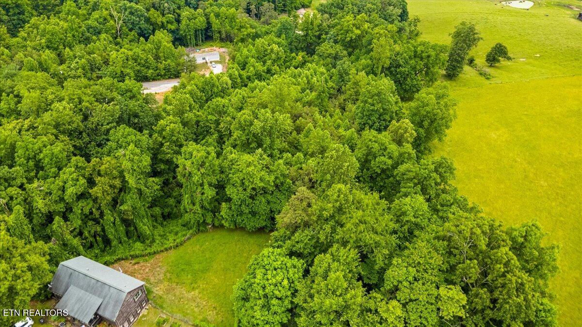 Ashley Maynardville TN 37807