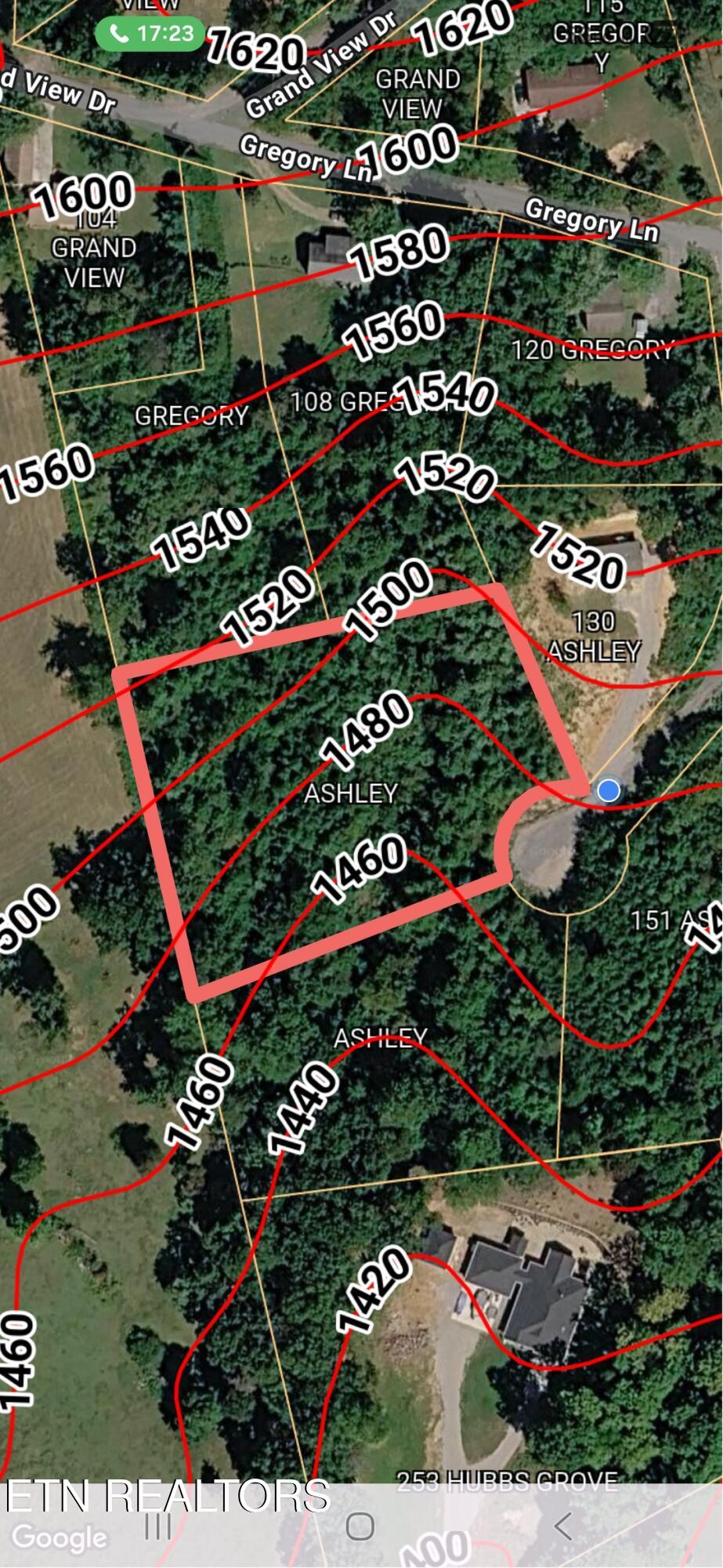 Ashley Maynardville TN 37807