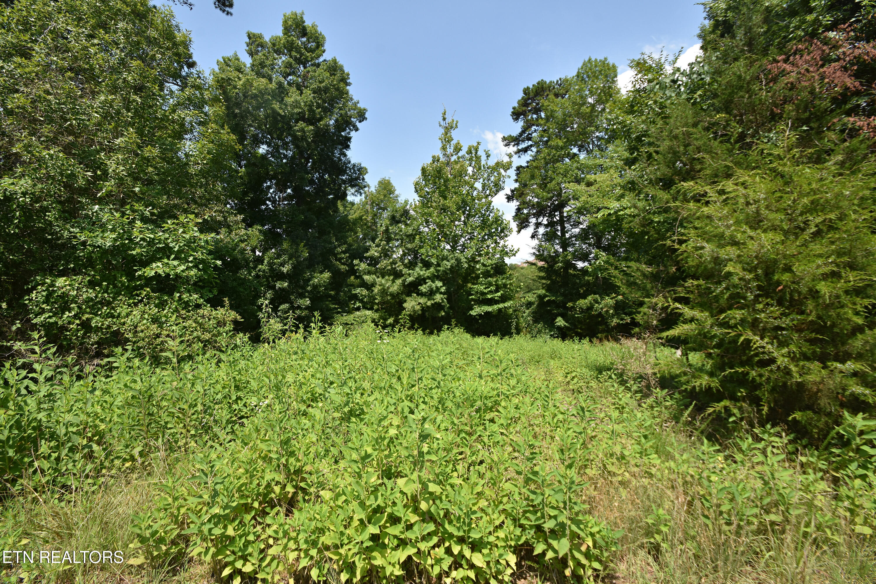 3630 Lashbrooke Way Louisville TN 37777