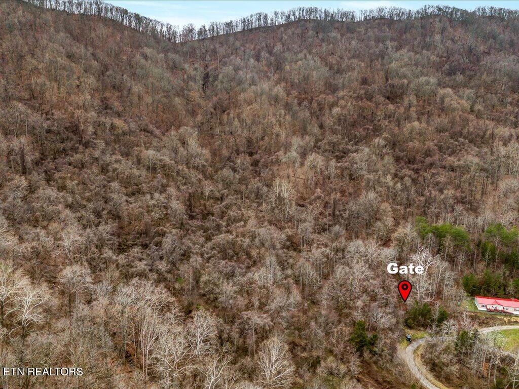 902 Charlie Dalton Lane Thorn Hill TN 37881