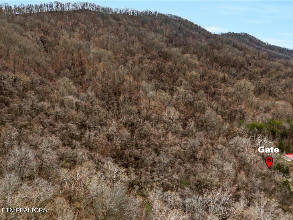 902 Charlie Dalton Lane Thorn Hill TN 37881