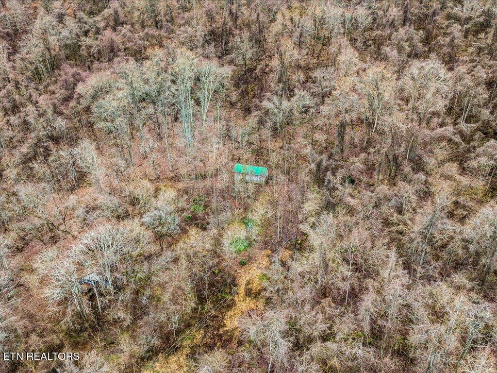 902 Charlie Dalton Lane Thorn Hill TN 37881