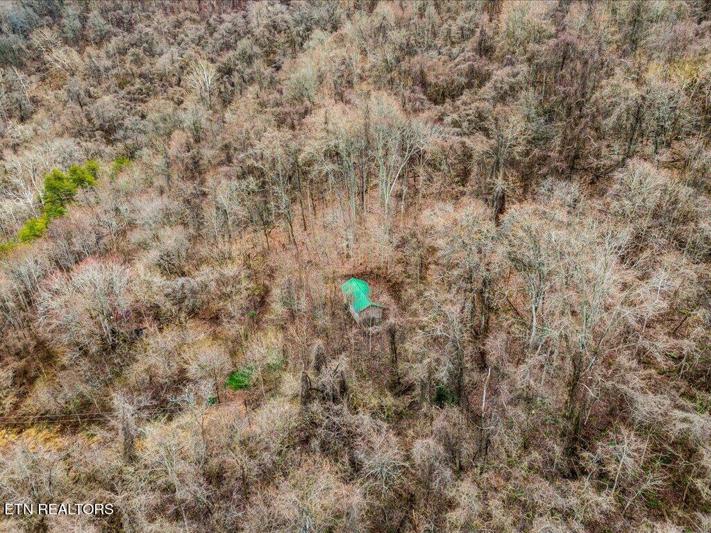 902 Charlie Dalton Lane Thorn Hill TN 37881