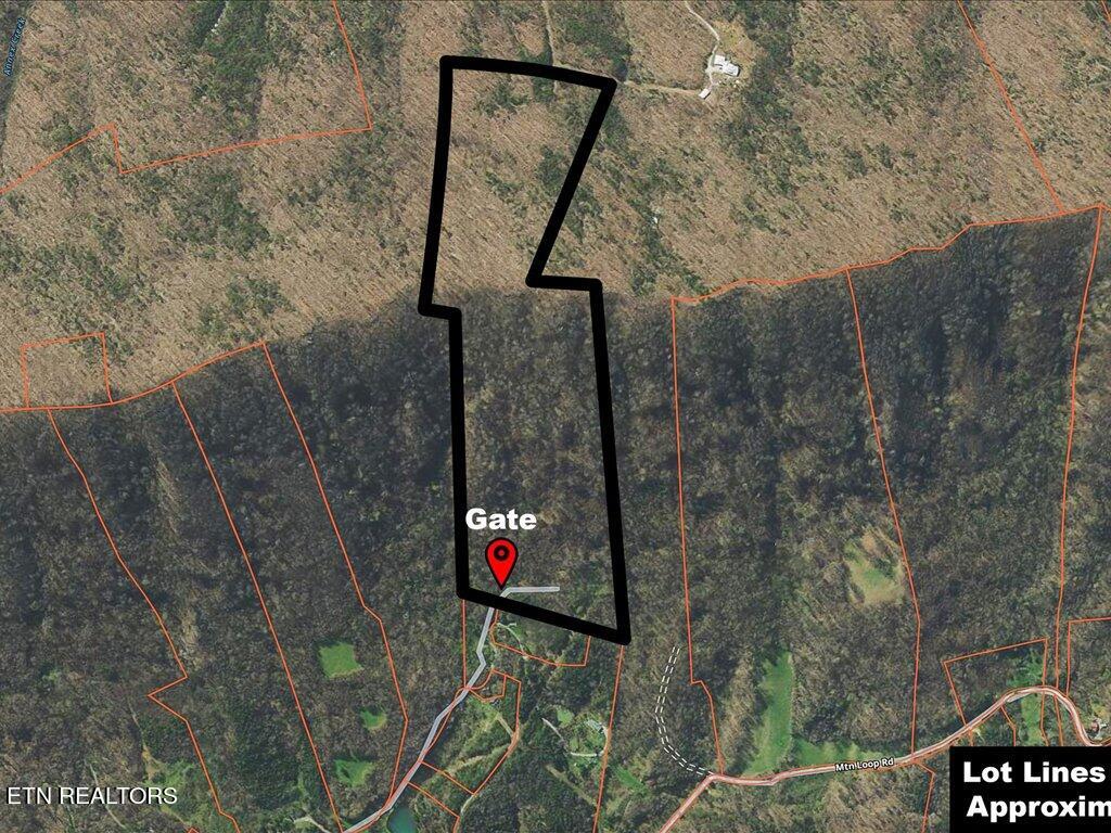 902 Charlie Dalton Lane Thorn Hill TN 37881