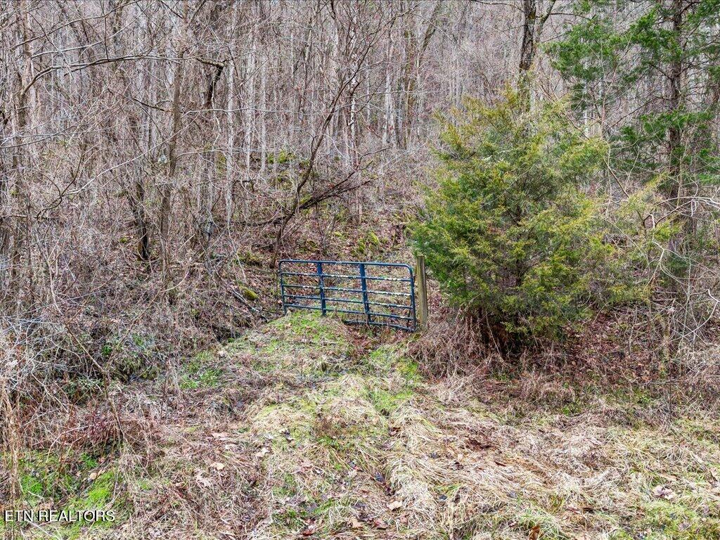 902 Charlie Dalton Lane Thorn Hill TN 37881
