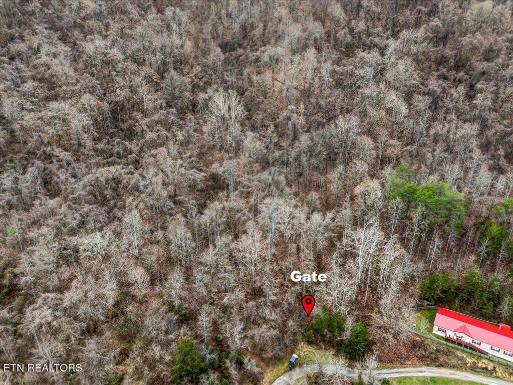 902 Charlie Dalton Lane Thorn Hill TN 37881