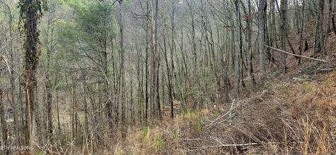 3278 Emerald Springs Loop Sevierville TN 37862
