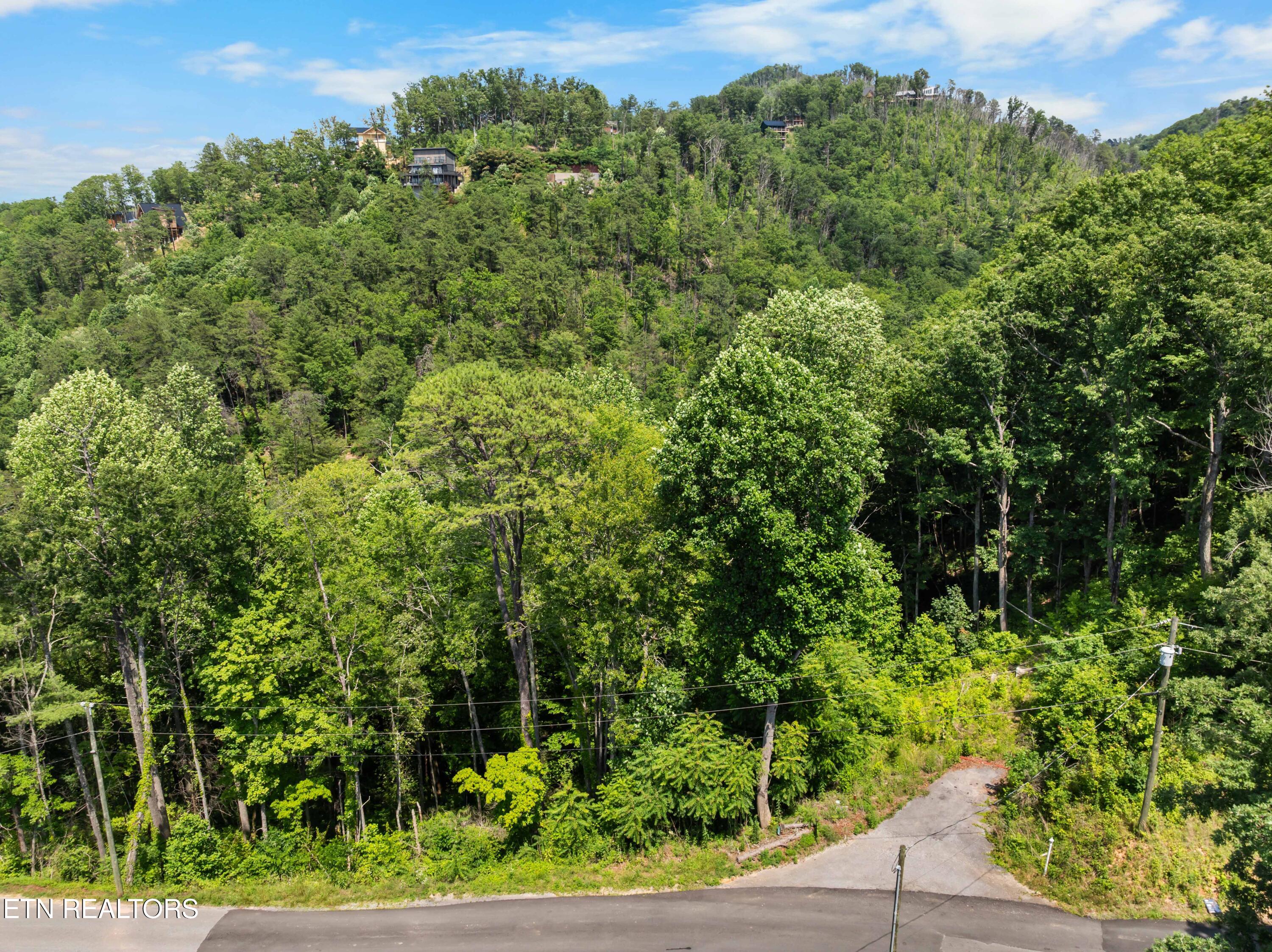 3278 Emerald Springs Loop Sevierville TN 37862
