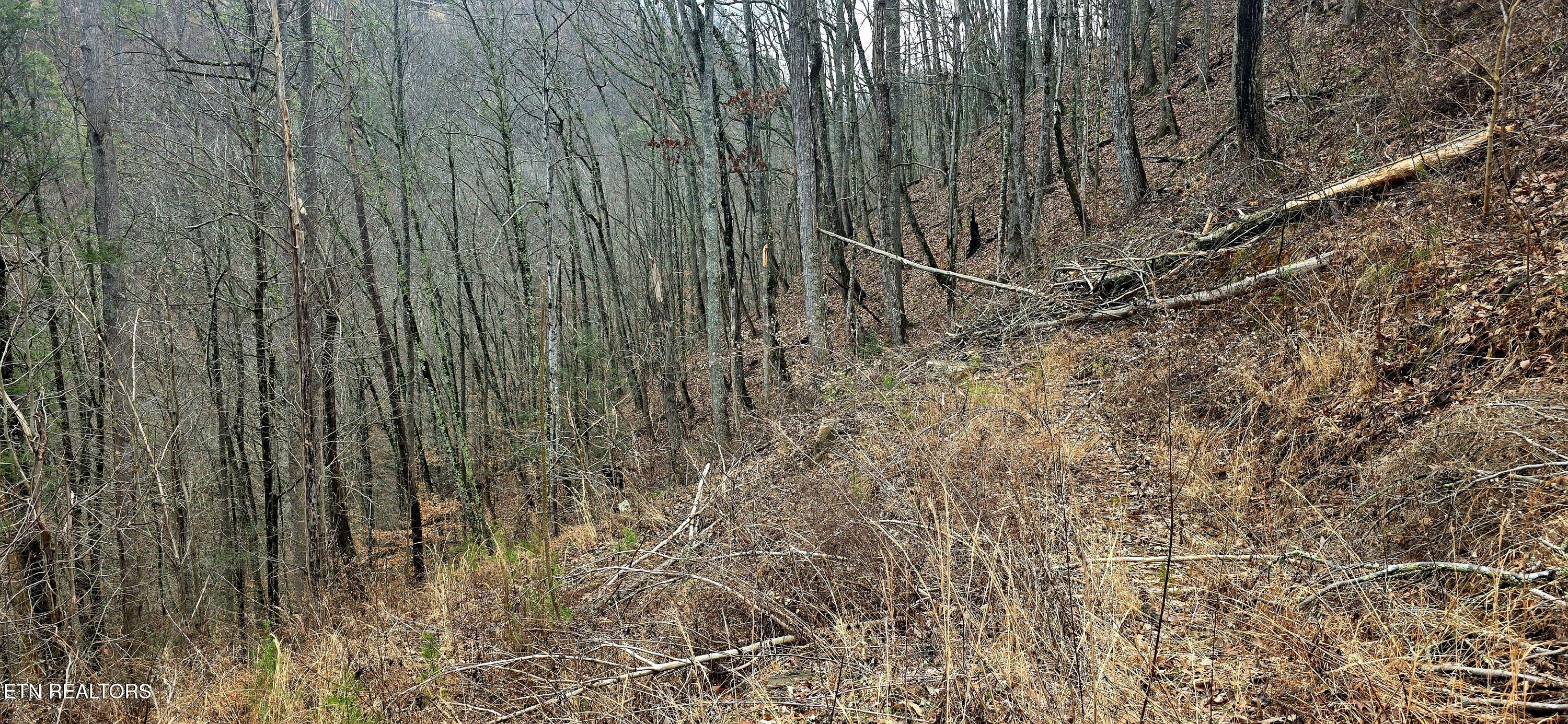 3278 Emerald Springs Loop Sevierville TN 37862