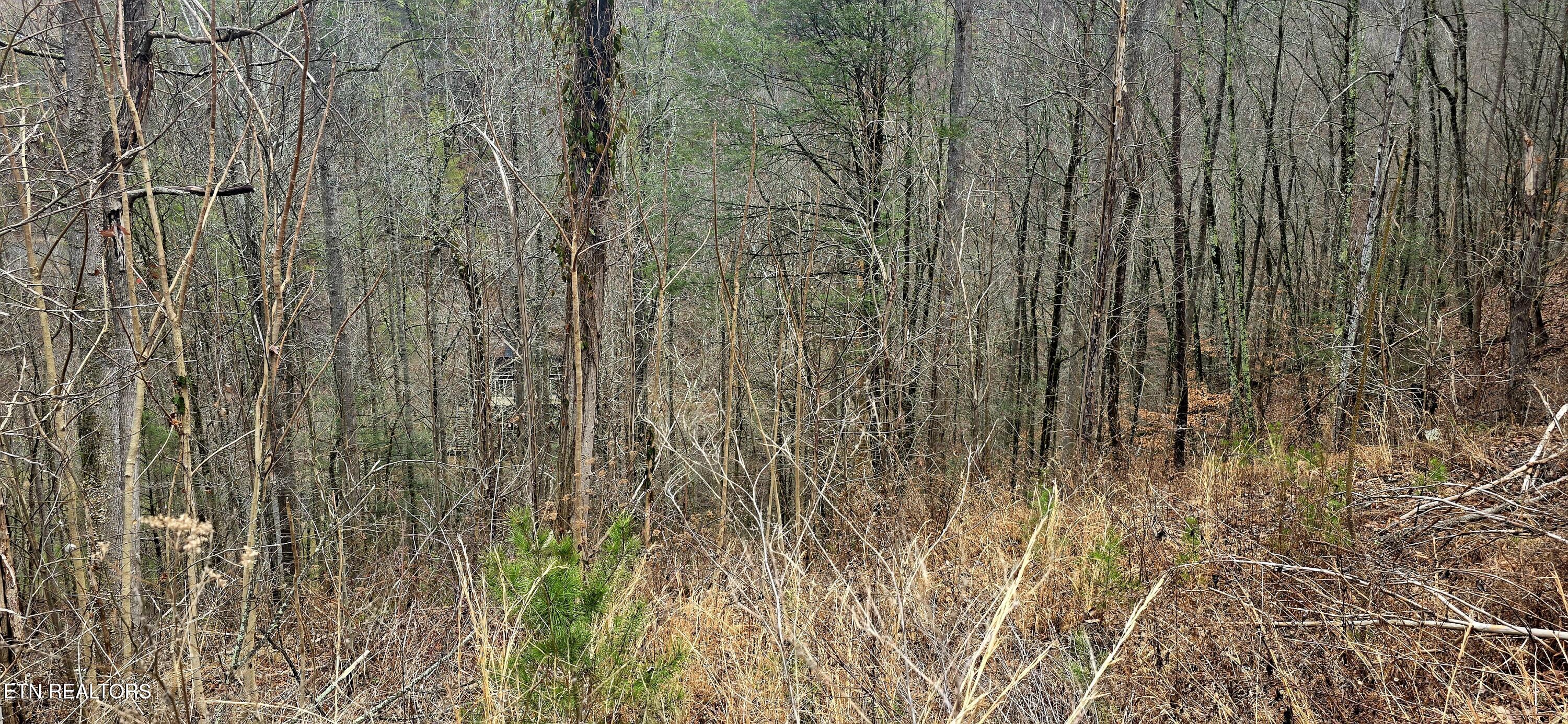 3278 Emerald Springs Loop Sevierville TN 37862