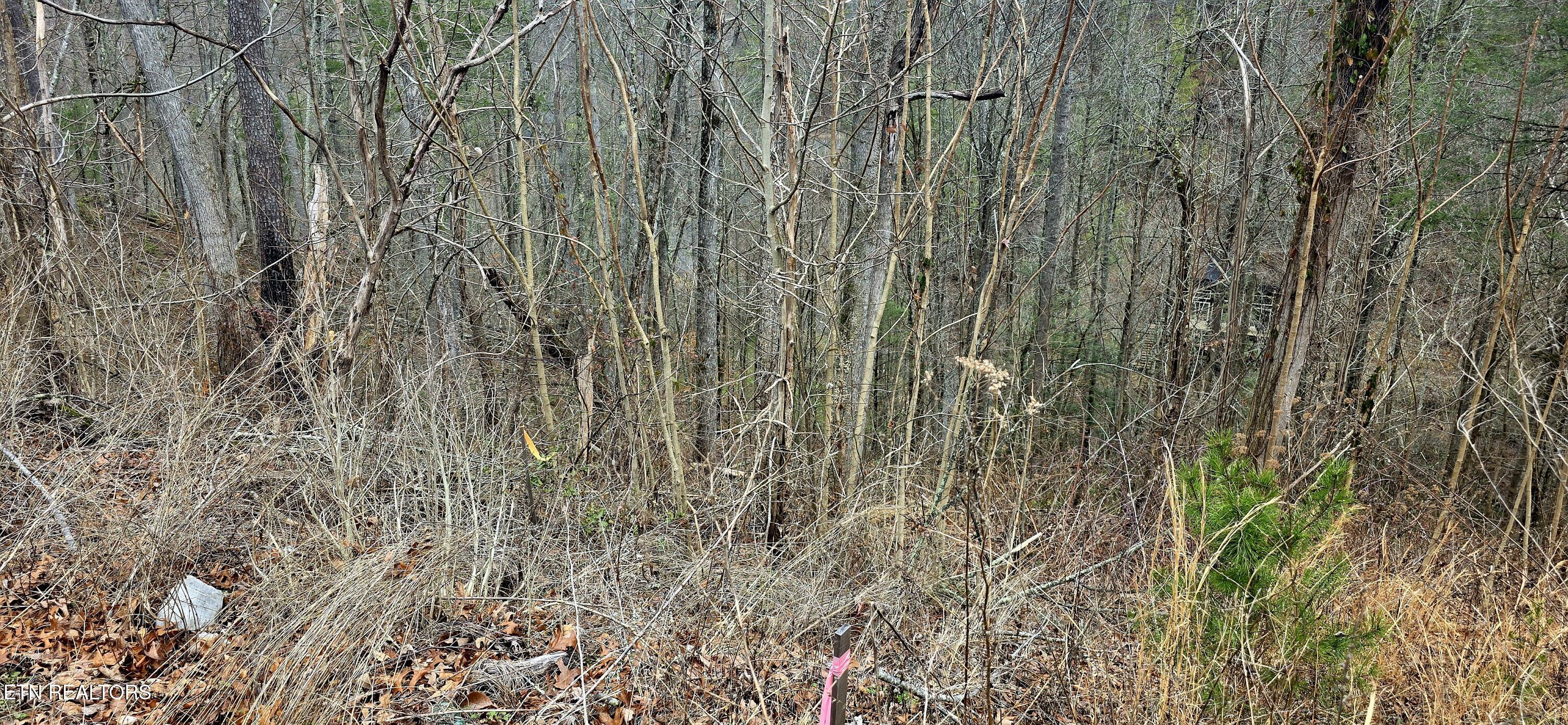 3278 Emerald Springs Loop Sevierville TN 37862