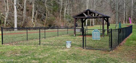 3278 Emerald Springs Loop Sevierville TN 37862