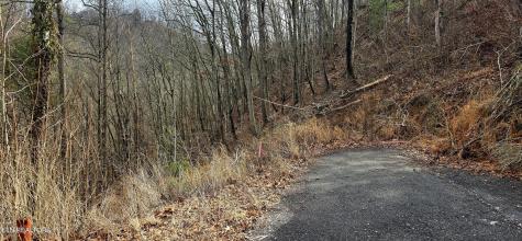 3278 Emerald Springs Loop Sevierville TN 37862
