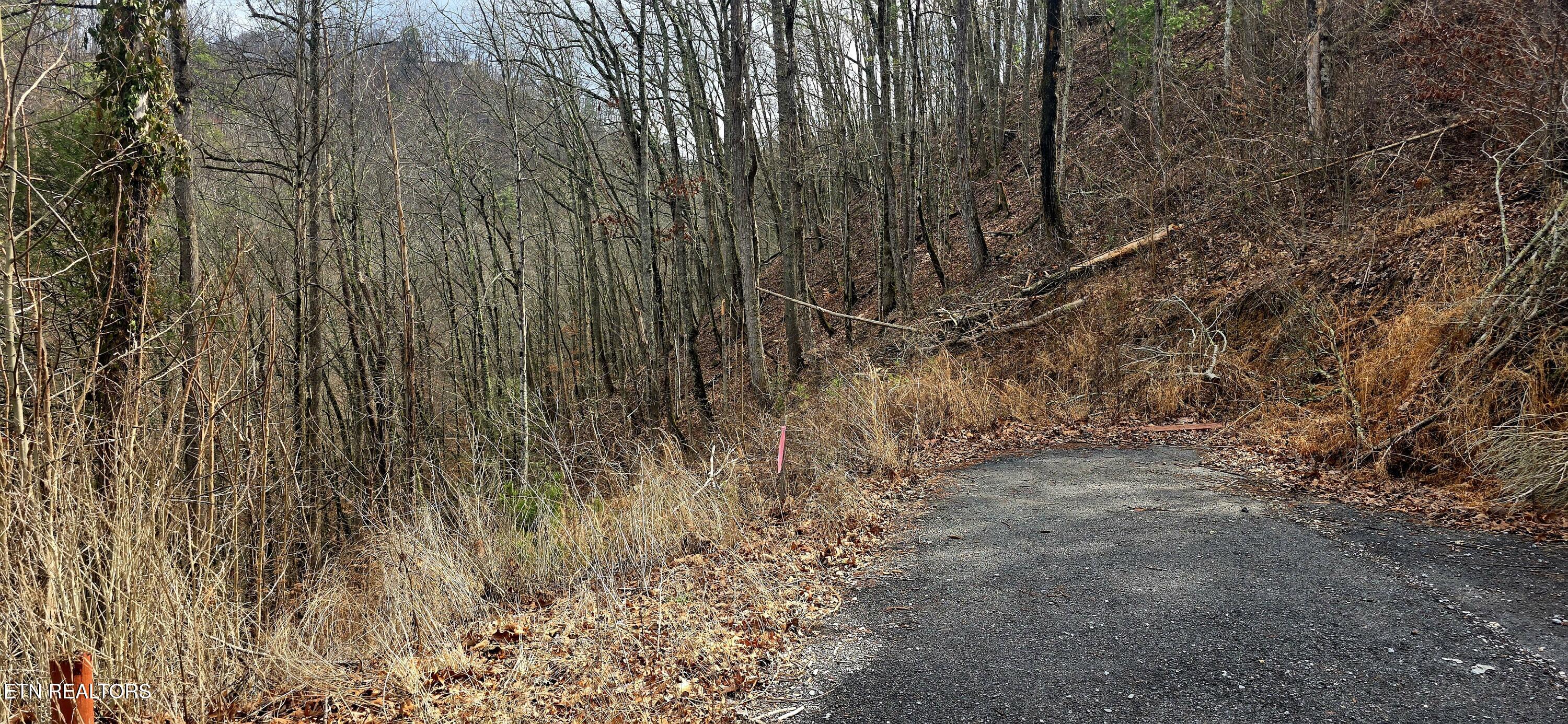 3278 Emerald Springs Loop Sevierville TN 37862