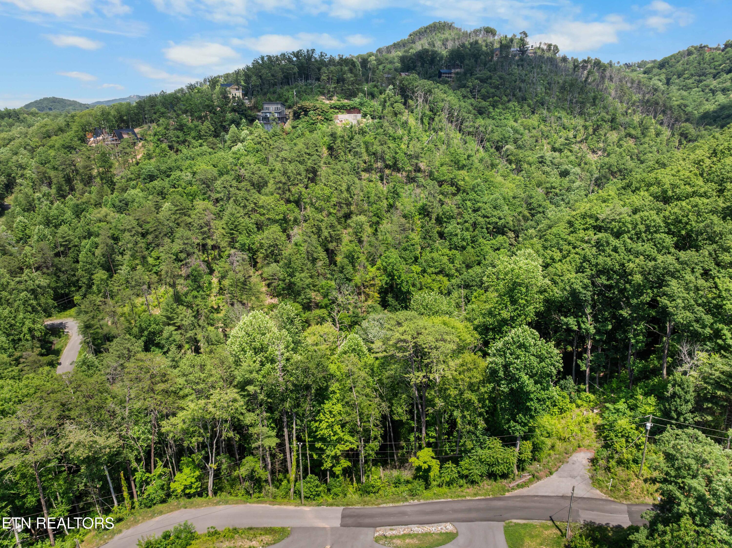 3278 Emerald Springs Loop Sevierville TN 37862