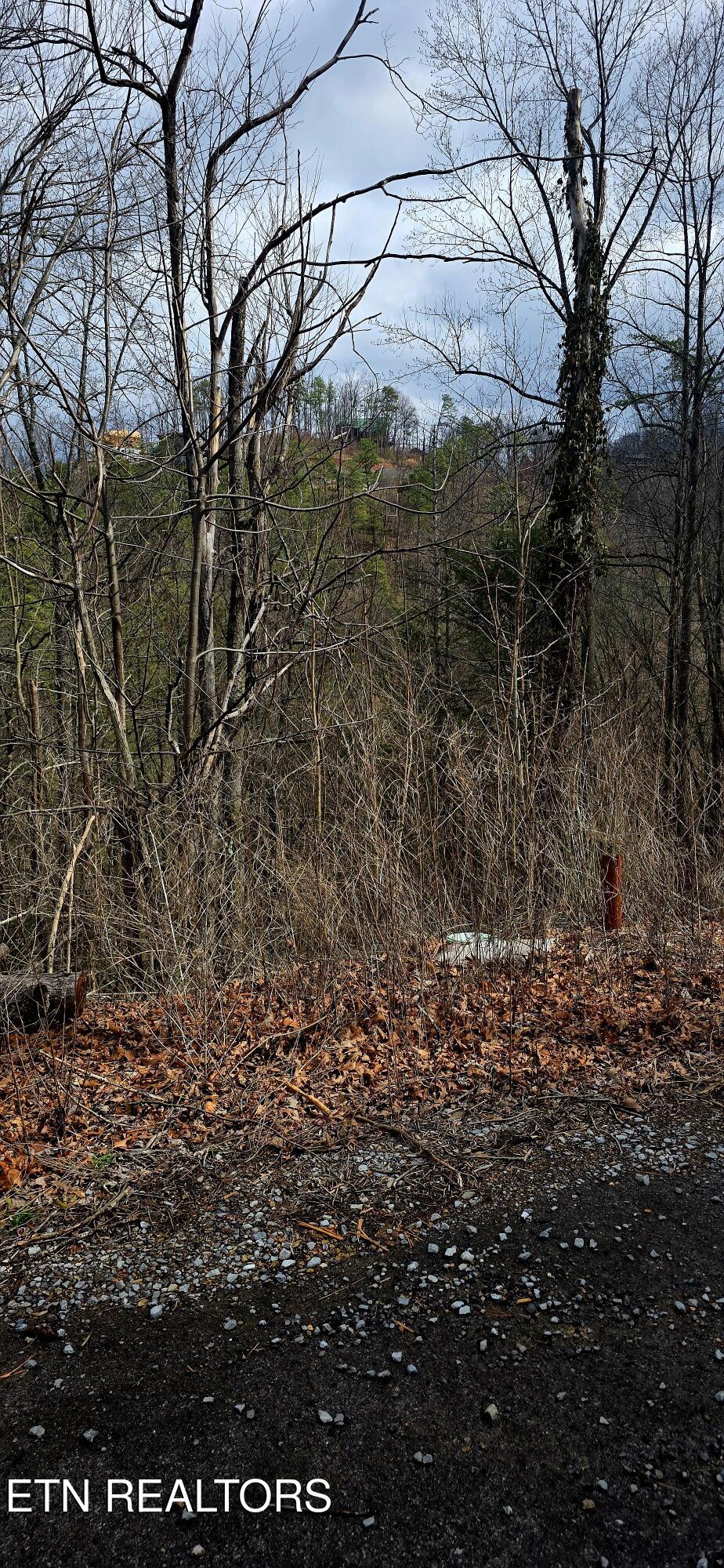 3278 Emerald Springs Loop Sevierville TN 37862