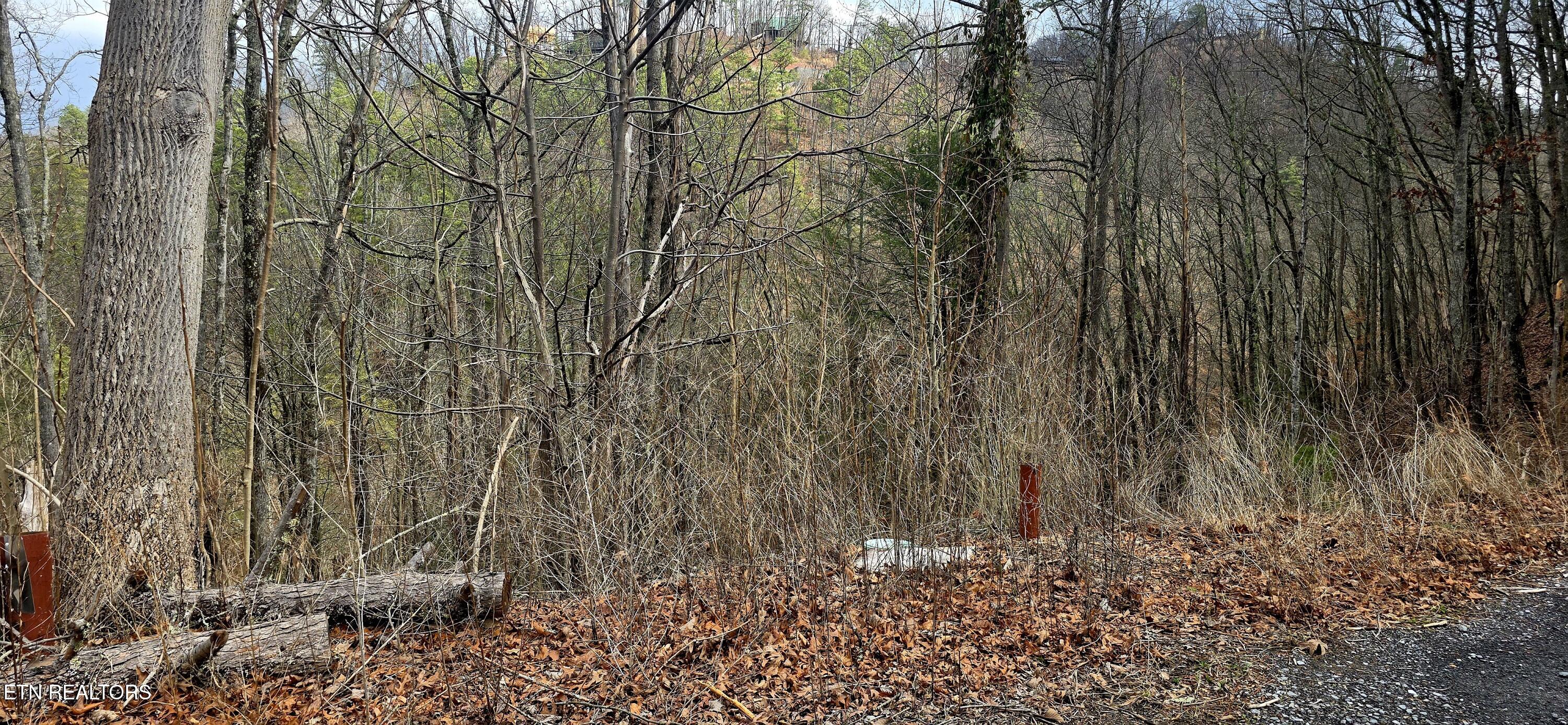 3278 Emerald Springs Loop Sevierville TN 37862