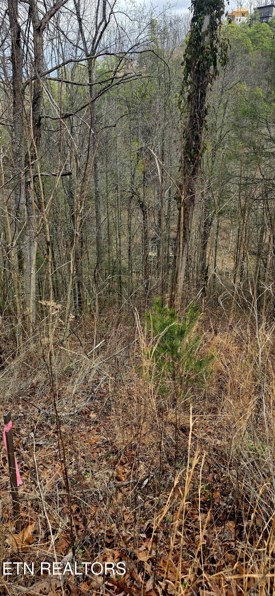 3278 Emerald Springs Loop Sevierville TN 37862