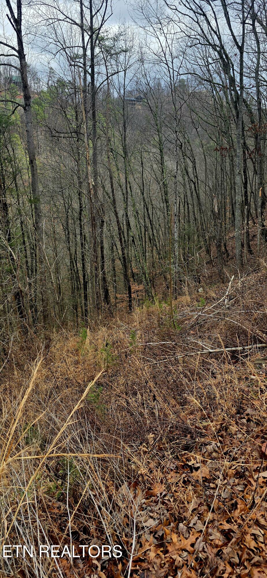 3278 Emerald Springs Loop Sevierville TN 37862