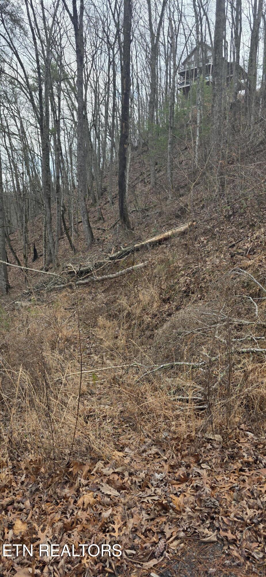 3278 Emerald Springs Loop Sevierville TN 37862