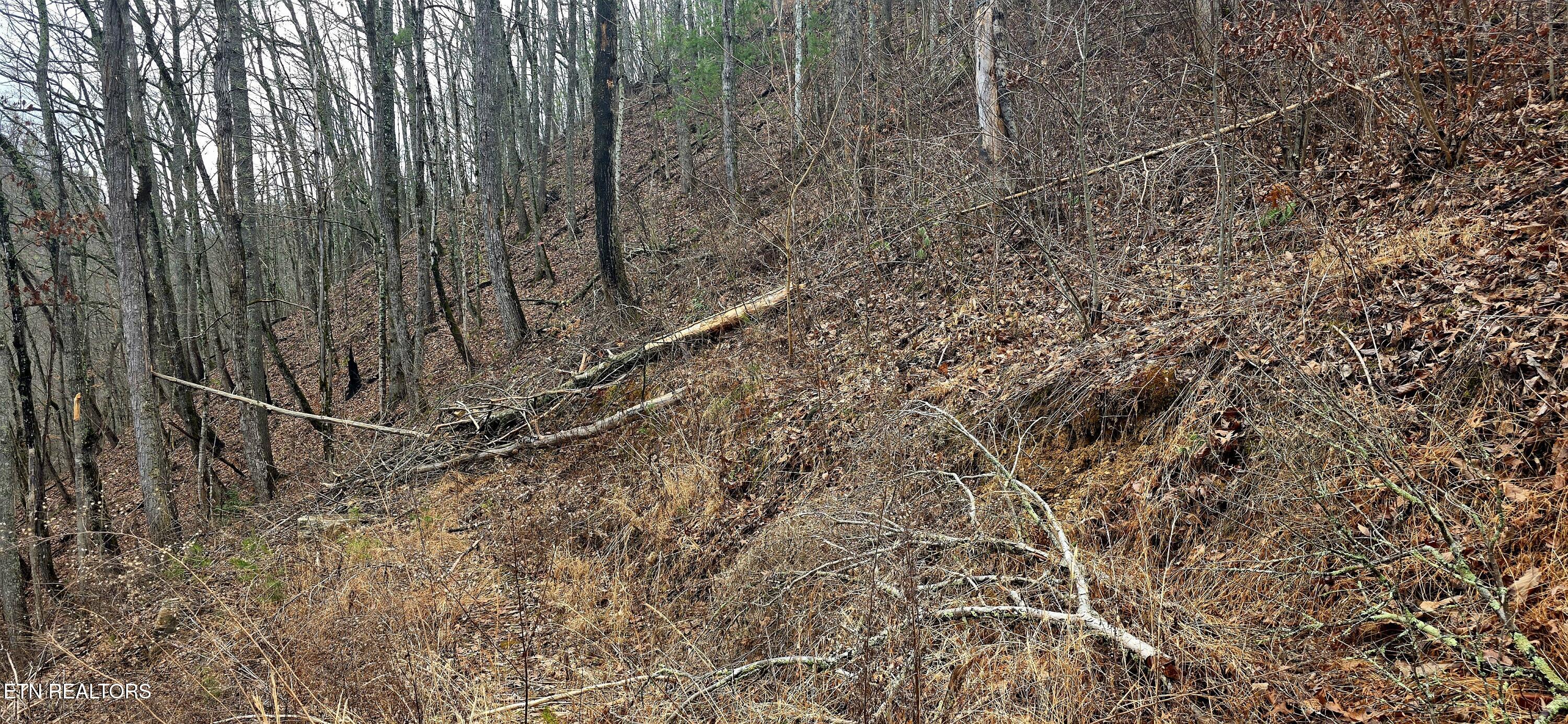 3278 Emerald Springs Loop Sevierville TN 37862