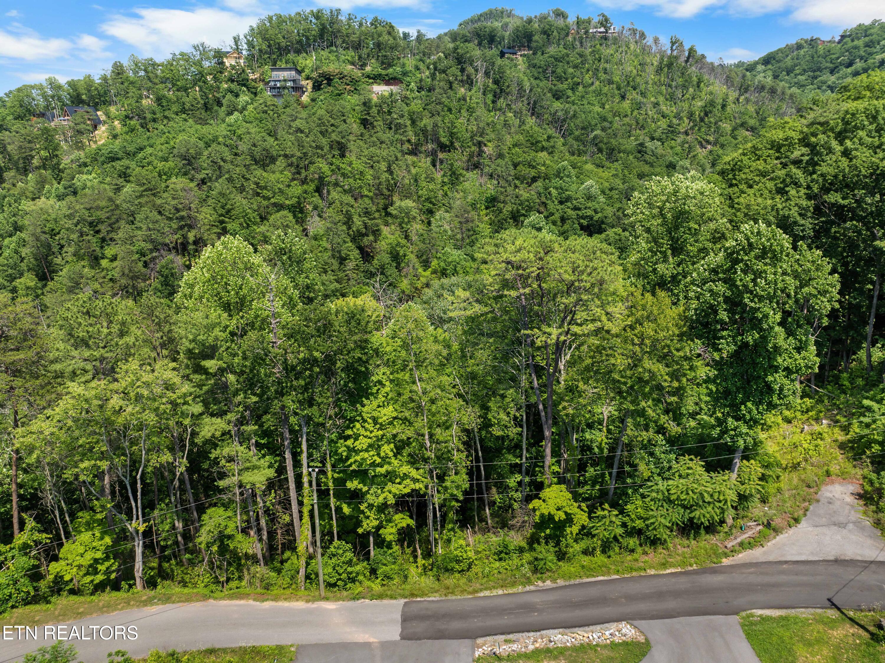 3278 Emerald Springs Loop Sevierville TN 37862