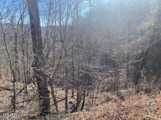 Lot 875 Clearwater Road New Tazewell TN 37825