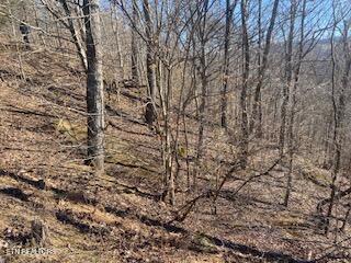 Lot 875 Clearwater Road New Tazewell TN 37825