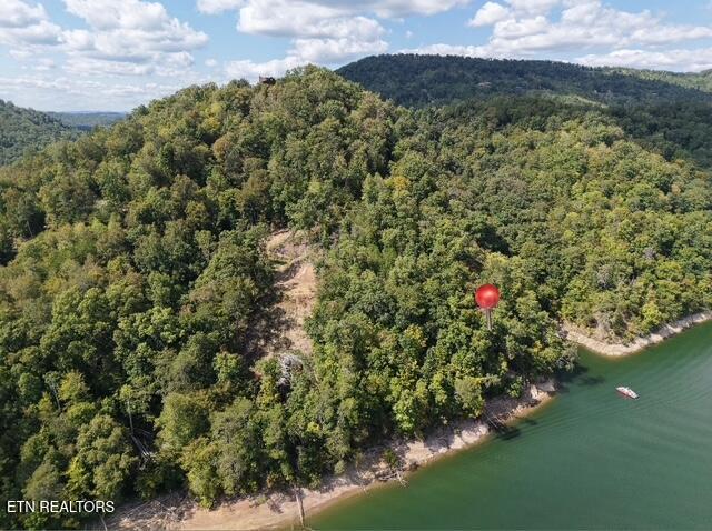 Lot 875 Clearwater Road New Tazewell TN 37825