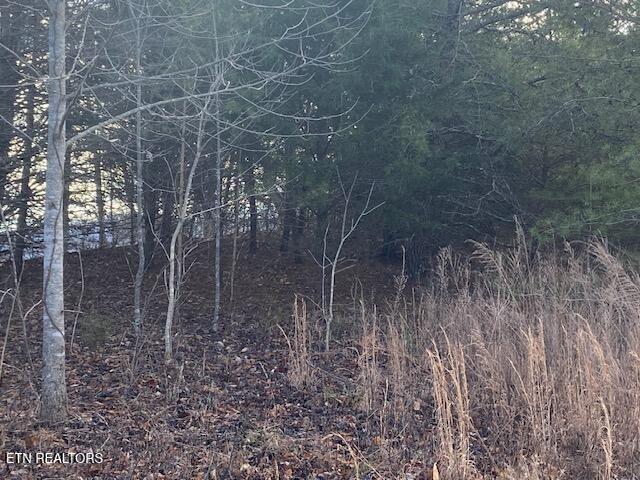 Lot 875 Clearwater Road New Tazewell TN 37825