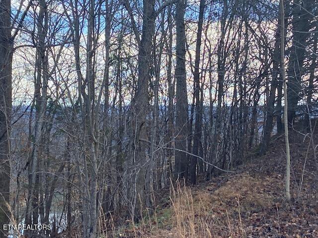 Lot 875 Clearwater Road New Tazewell TN 37825
