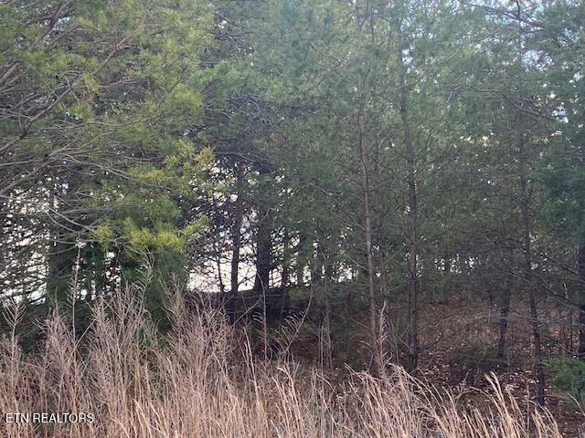 Lot 875 Clearwater Road New Tazewell TN 37825