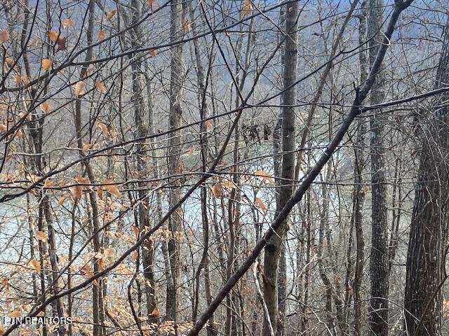 Lot 875 Clearwater Road New Tazewell TN 37825