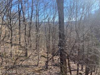 Lot 875 Clearwater Road New Tazewell TN 37825