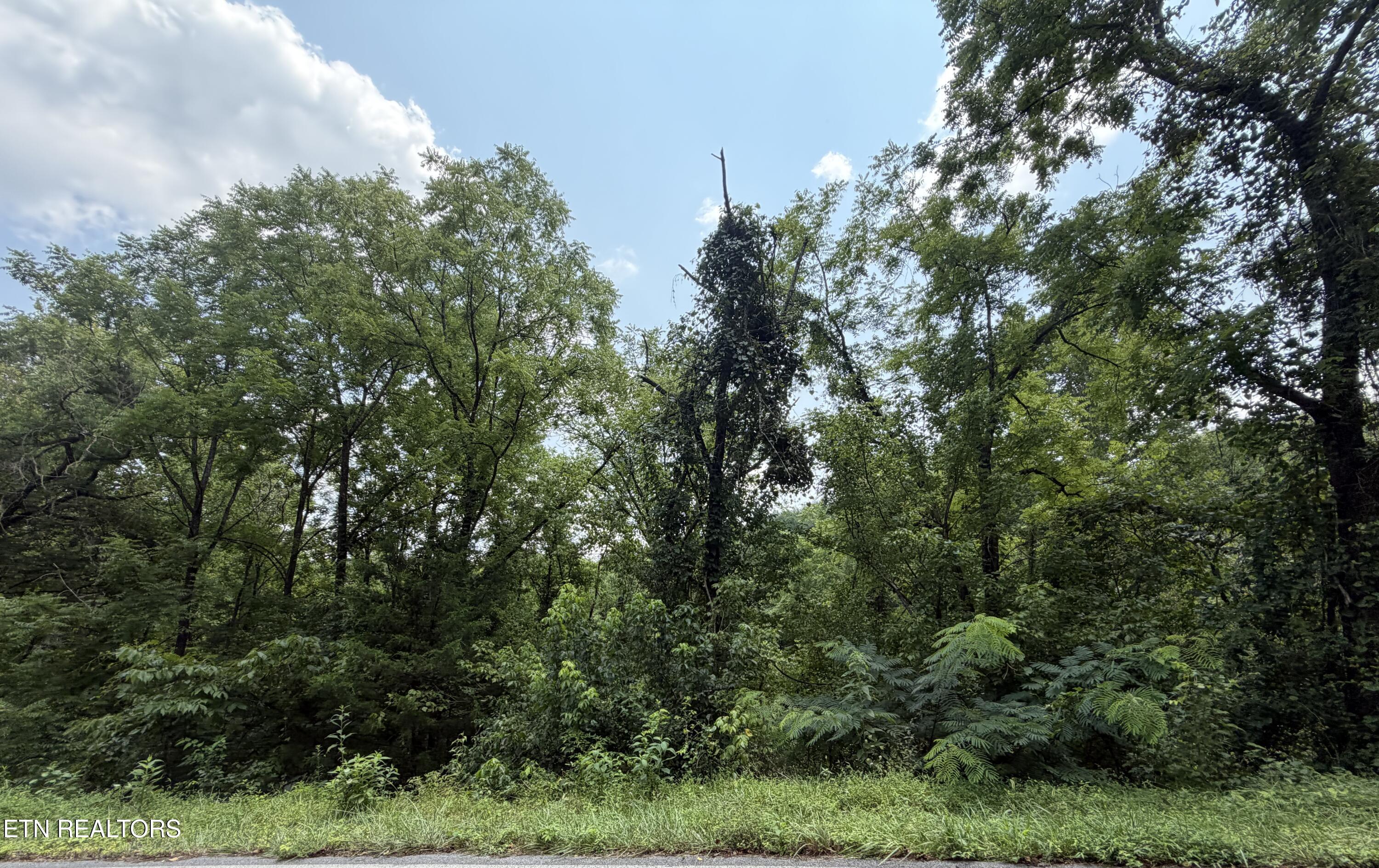 1059 Kellum Creek Road Sevierville TN 37876