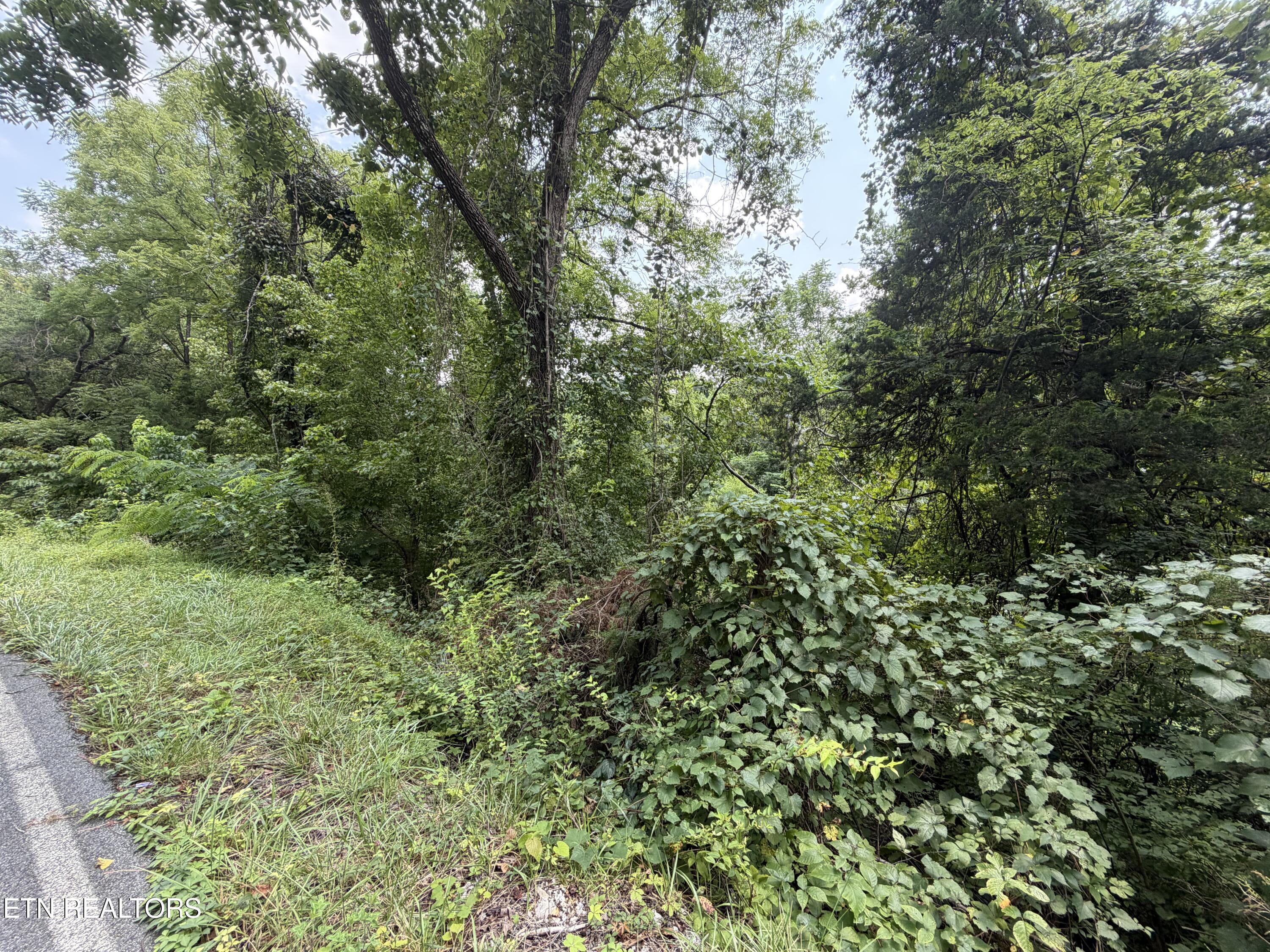 1059 Kellum Creek Road Sevierville TN 37876