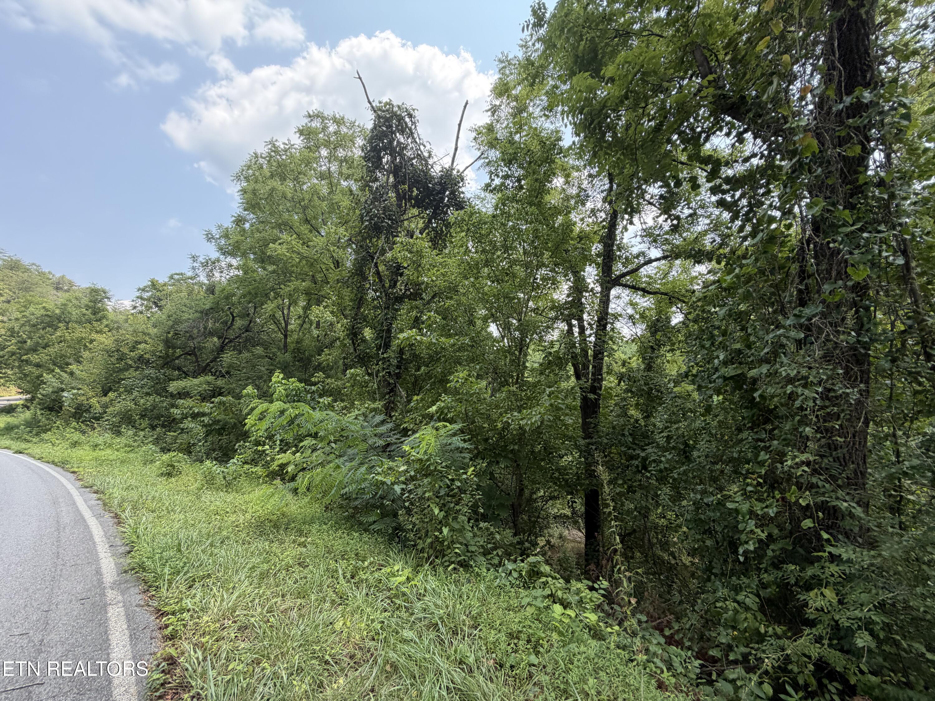 1059 Kellum Creek Road Sevierville TN 37876