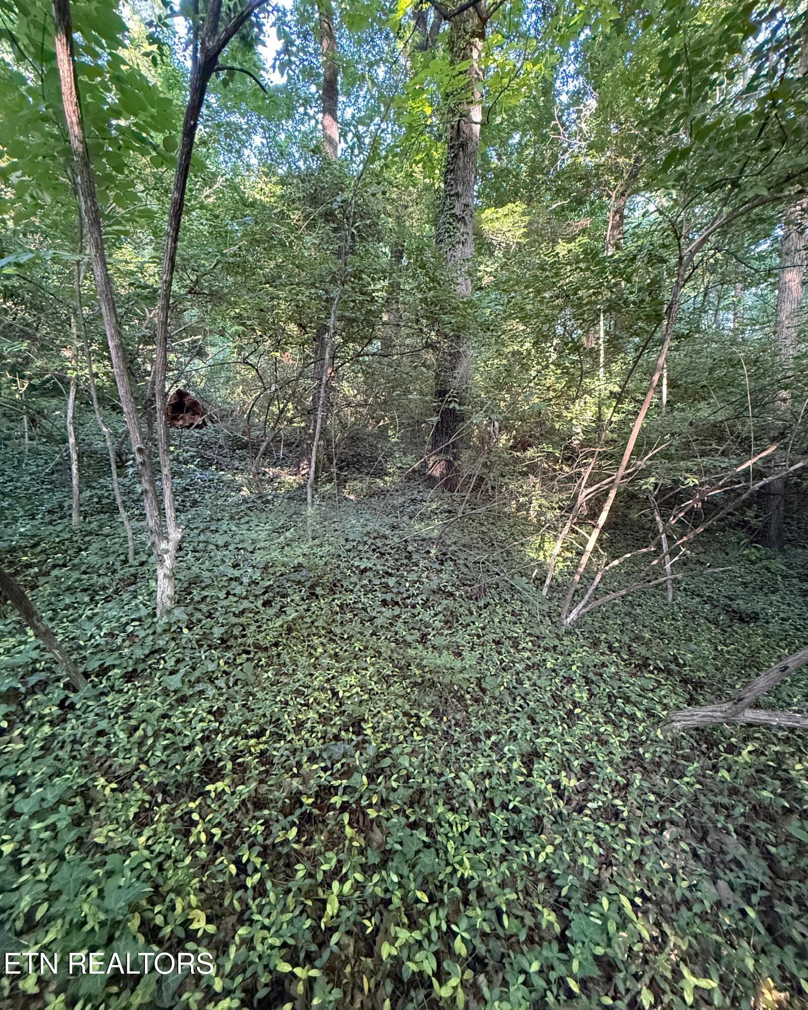 5016 Ridgemont Drive Knoxville TN 37918