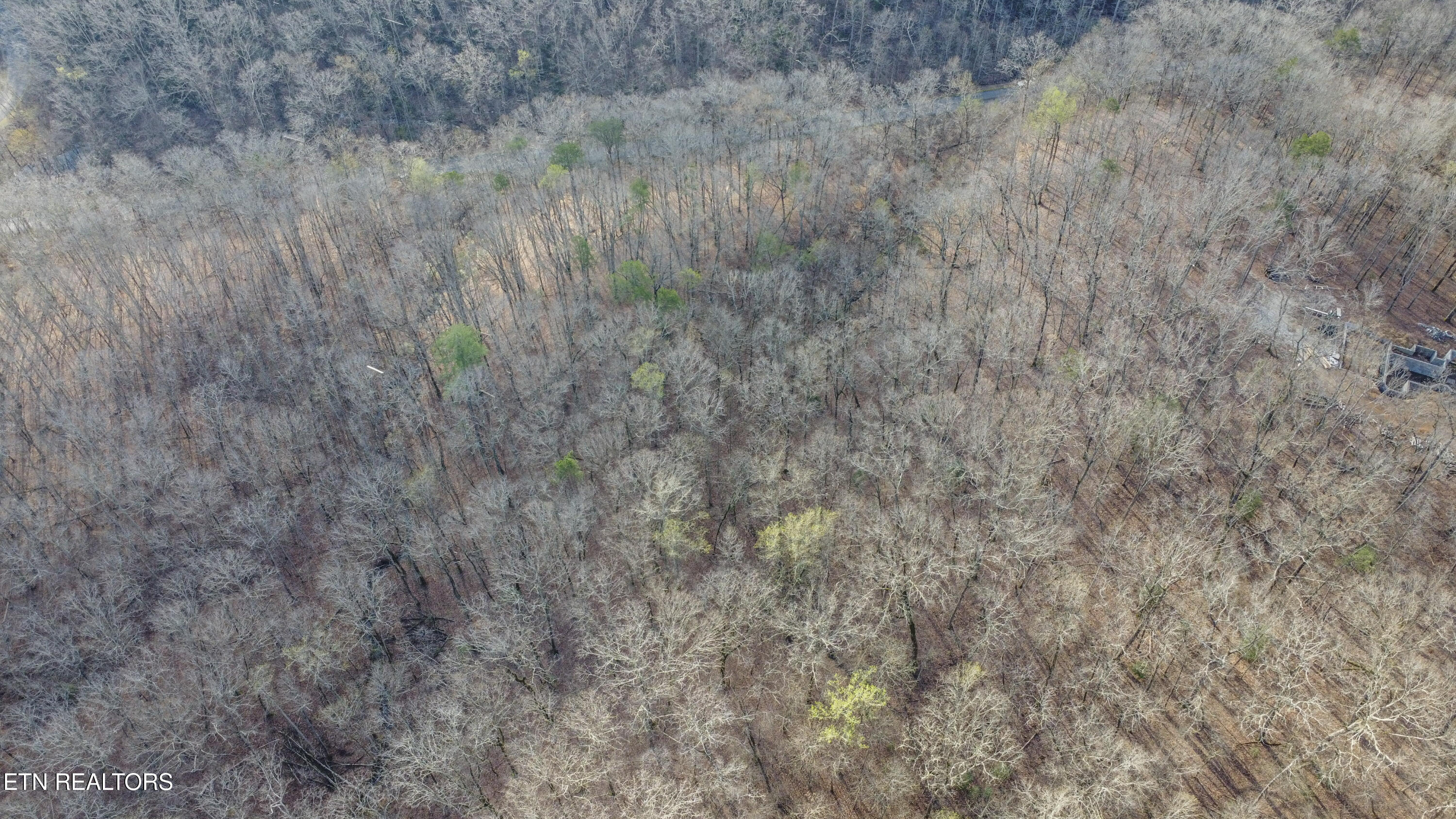 Lot 434 Hidden Oaks Road Rockwood TN 37854
