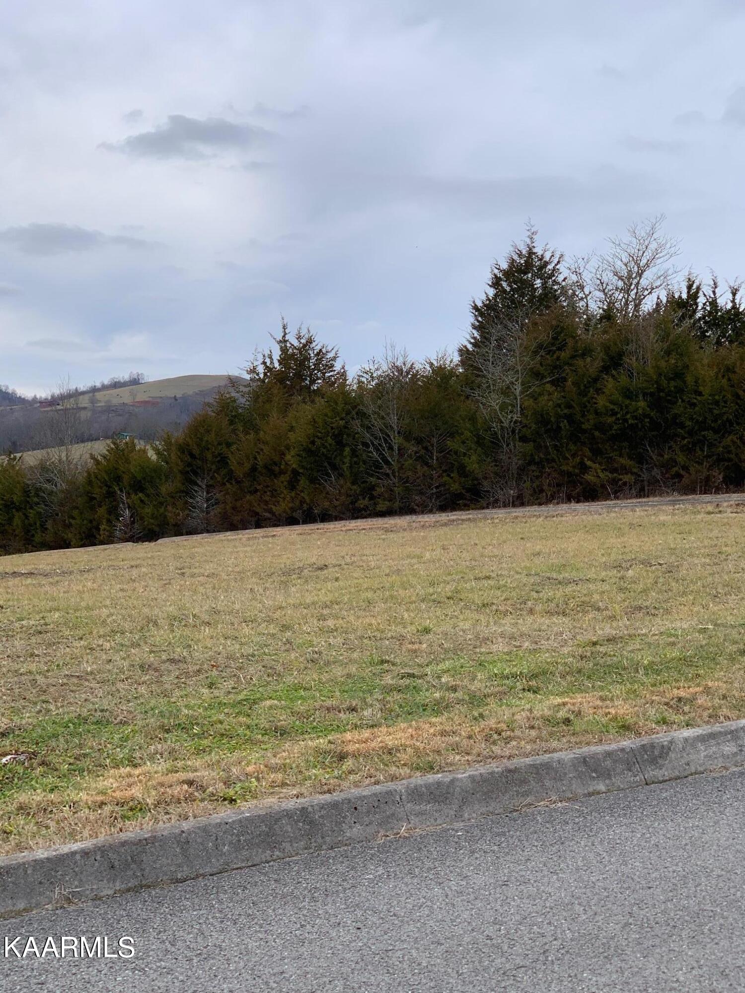 121 Links Court Tazewell TN 37879