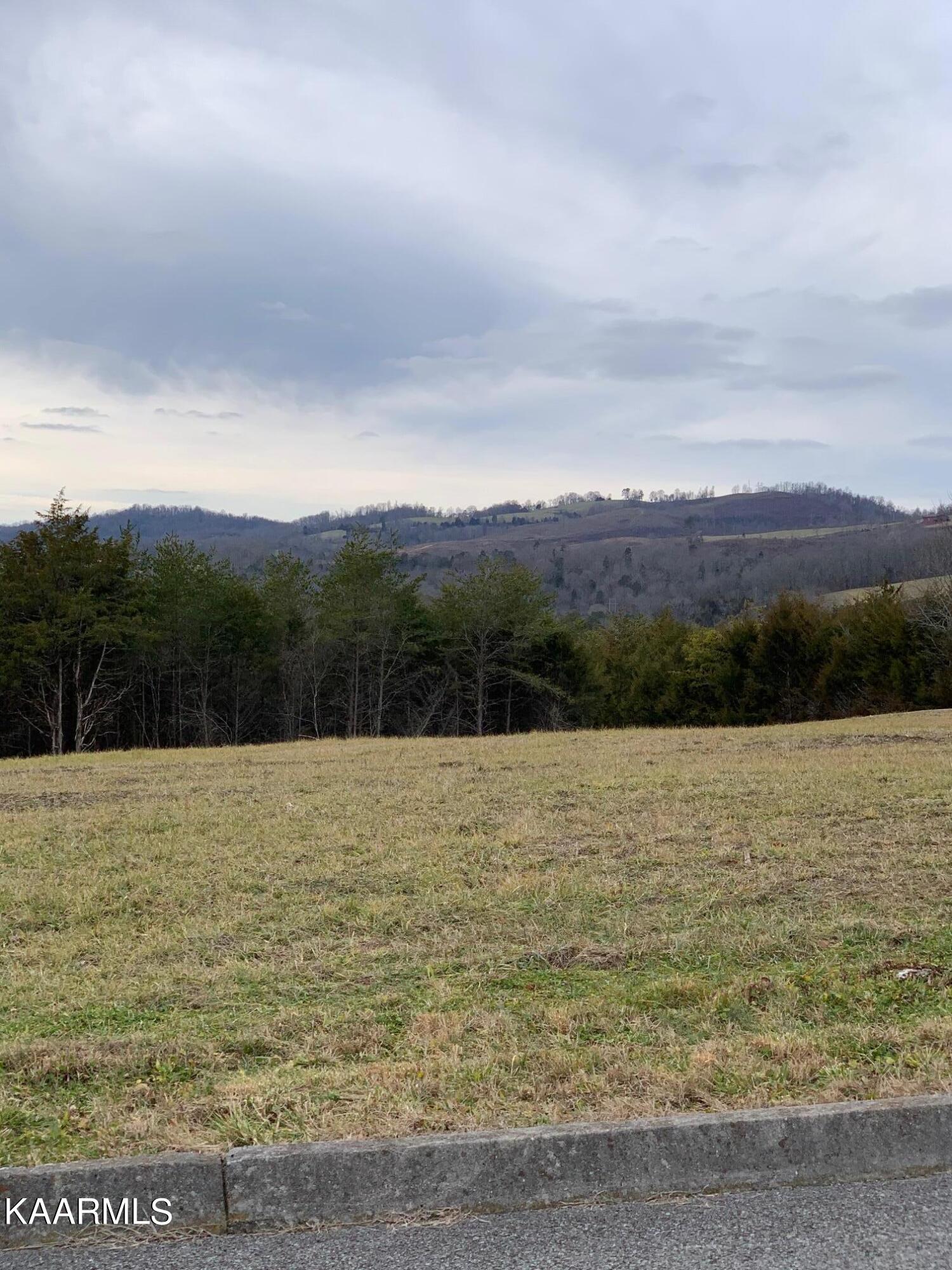 121 Links Court Tazewell TN 37879